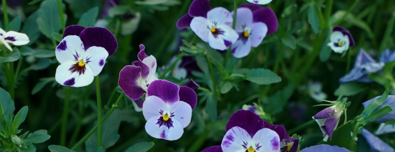 Gardenize tjänster för företag