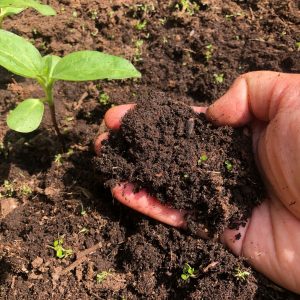 Egen jordfabrik jord Gardenize