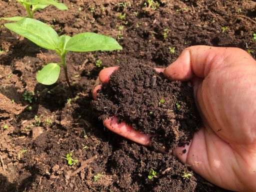 Egen jordfabrik jord Gardenize