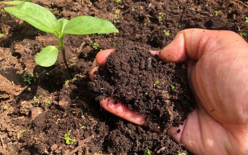 Egen jordfabrik jord Gardenize