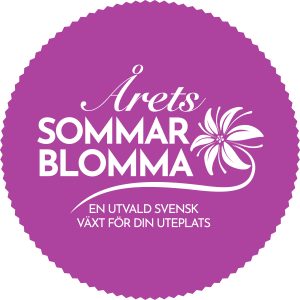 Logotyp årets sommarblomma