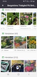 Månadens Gardenizer