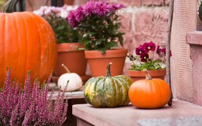 To Do Liste im Gartenmonat Oktober