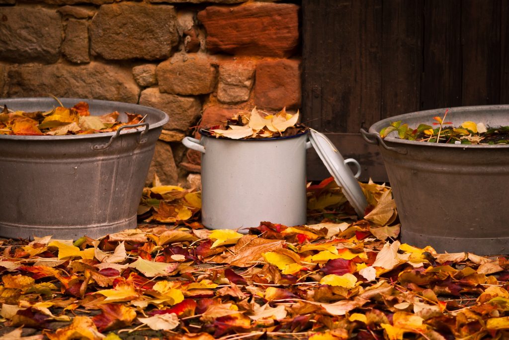 November – To Do Liste für deinen Garten