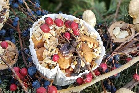 Einen Futter- und Wasserplatz für Vögel einzurichten