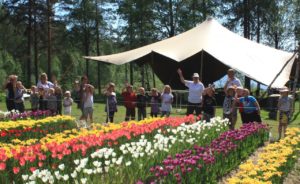 norrlands tulpanfestival