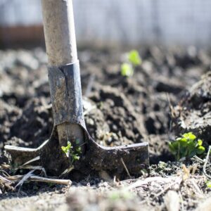 Gardening in March