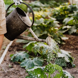 watering-garden