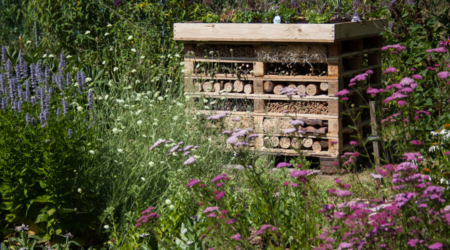 garden garden