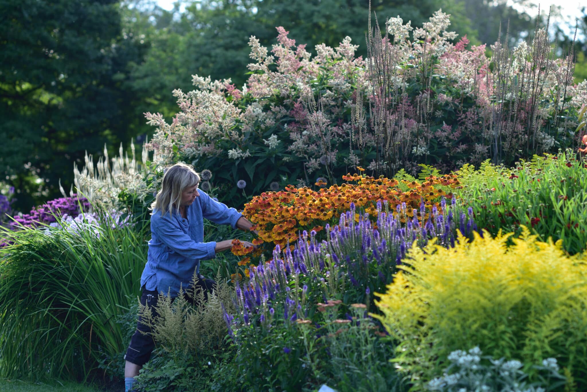 Göteborgs Botaniska trädgård