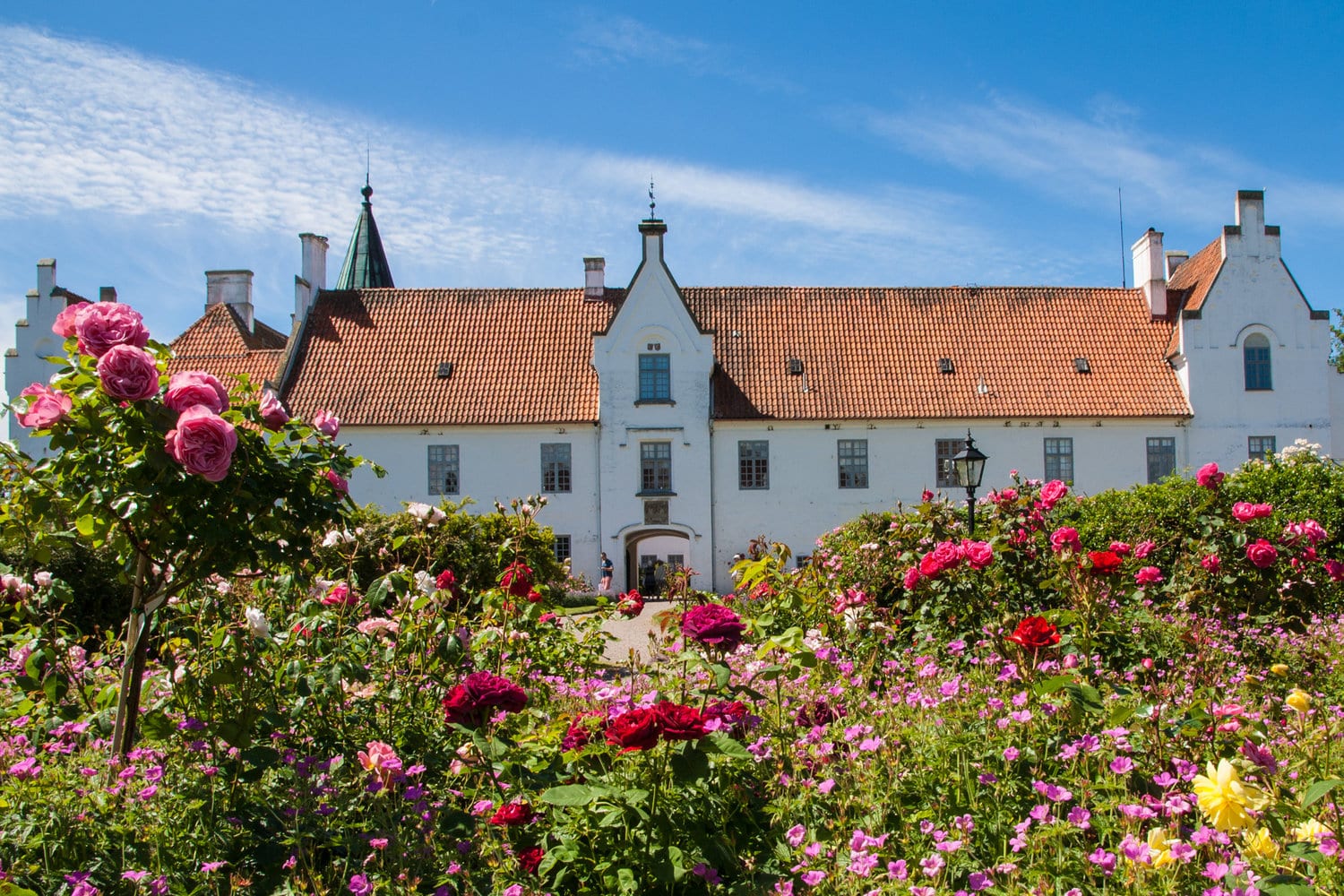 Bosjökloster park rosor