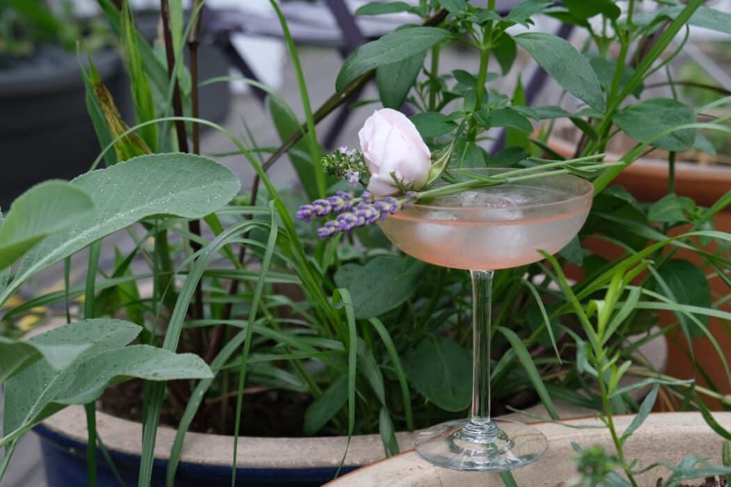 Cocktail container gardening