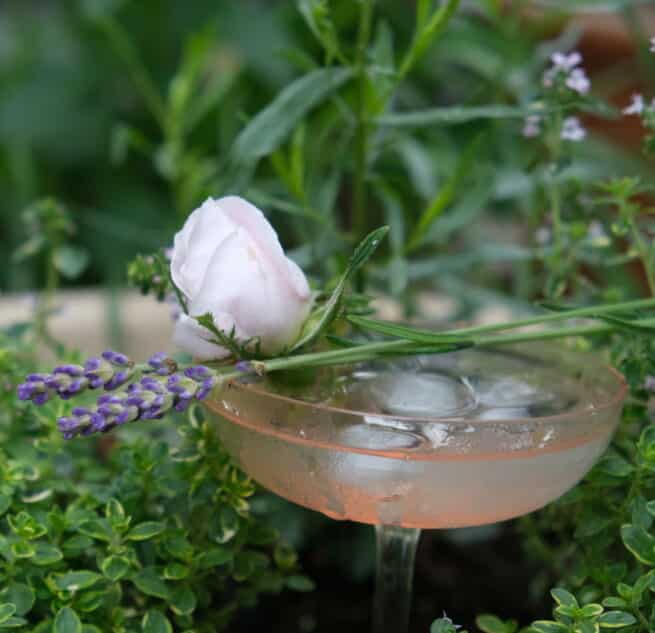 CONTAINER GARDEN WITH A PURPOSE: THE COCKTAIL CONTAINER