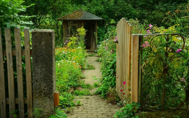 garden july garden july