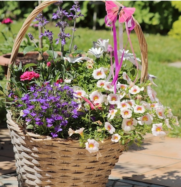 Flowers from the garden