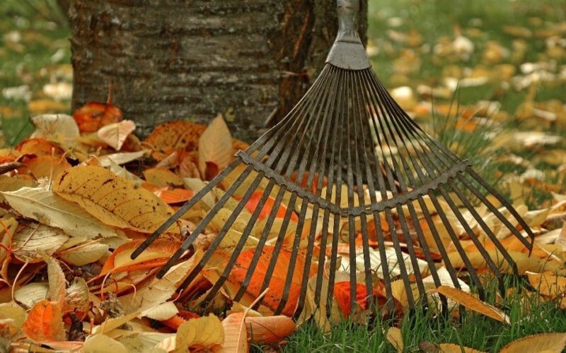 Rake gardening - Gardenize - Caroline Bowman