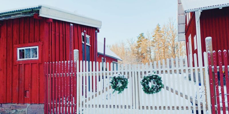 en vinterfin trädgård