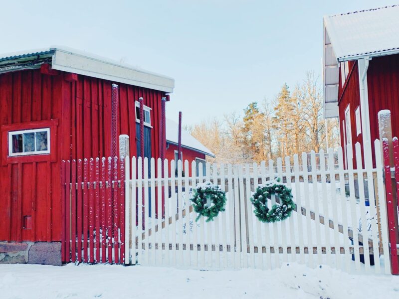 en vinterfin trädgård