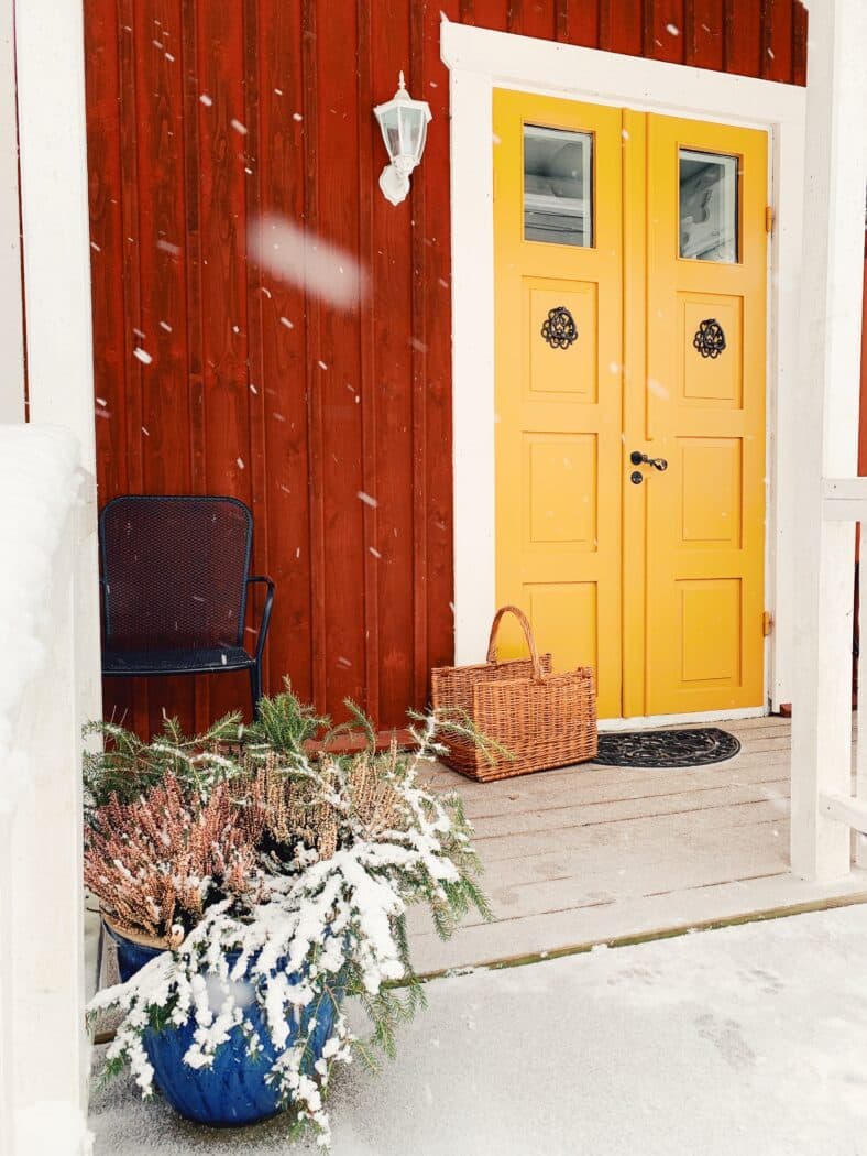 en vinterfin trädgård