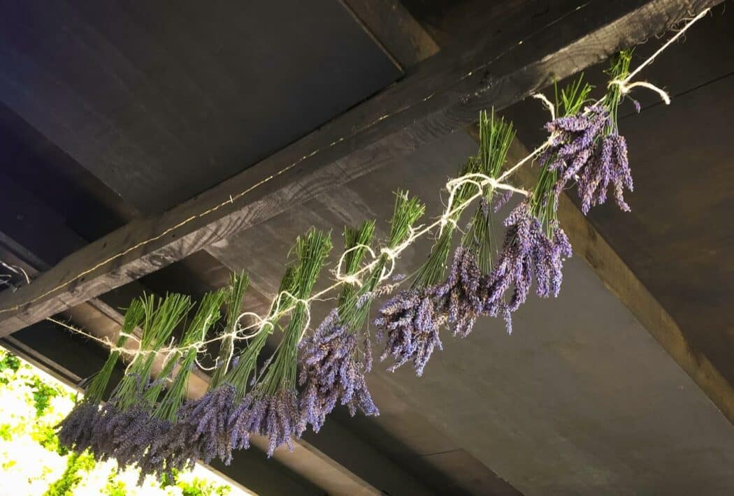 December in Central Otago