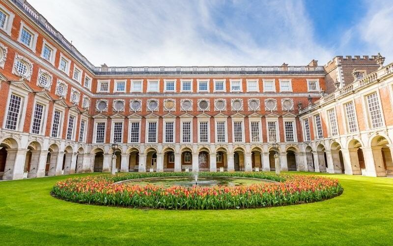 Fountain court tulips
