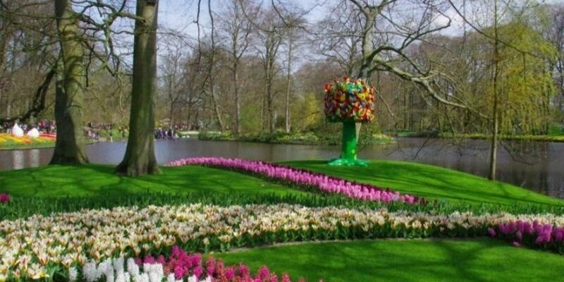 Keukenhof Tulip Gardens