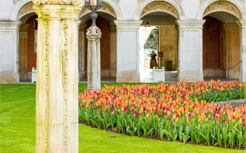 Fountain Court tulips Tulip Day