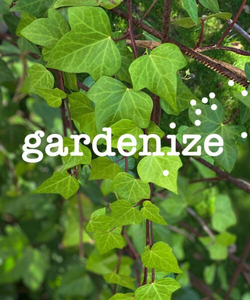 Gardenize garden app