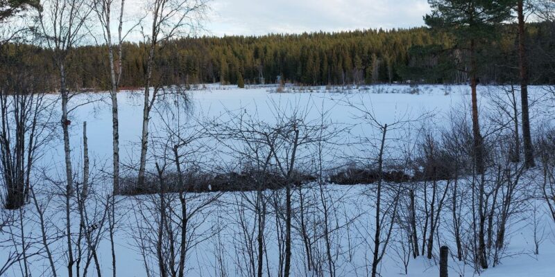 Vinter och vila i norr