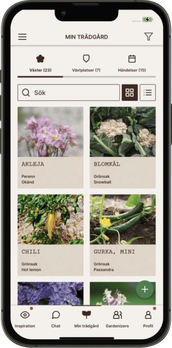 plants card view