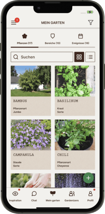plants card view