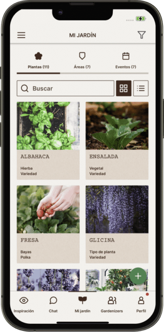 plants card view