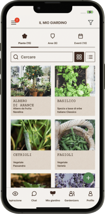 plants card view