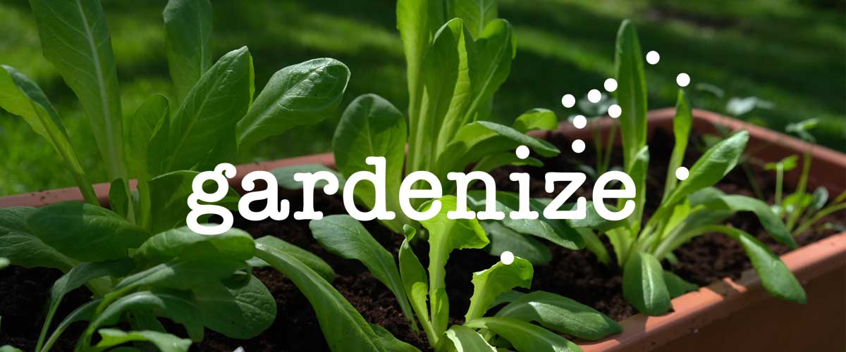 1200x500px-gardenize