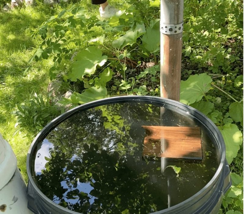 bild3 bild3