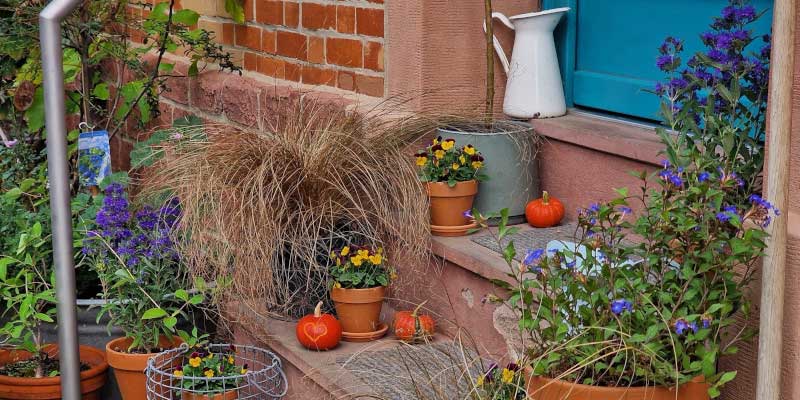 Herbstdeko - Gardenize