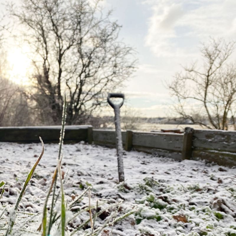UTV vinterträdgård Gardenize