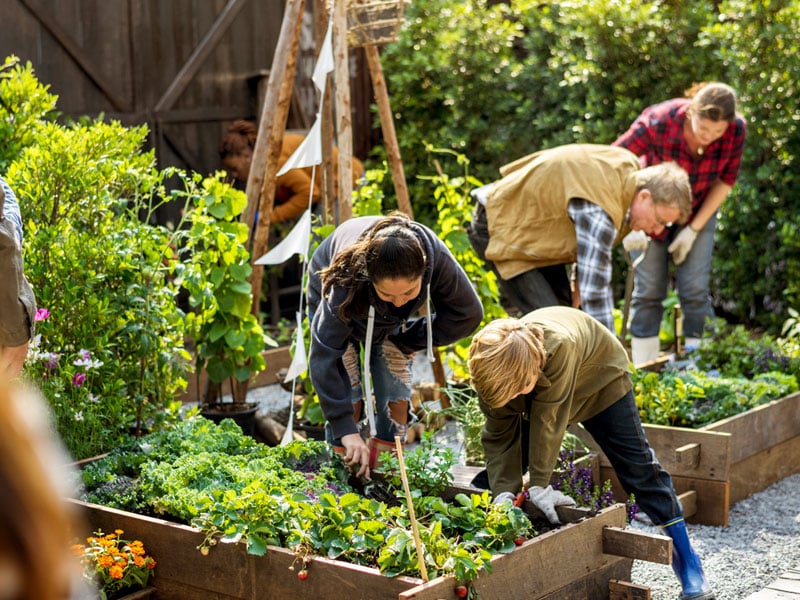 plantera jordens dag - Gardenize