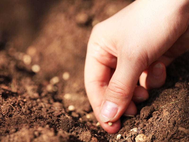 Plant Gardenize Earth day