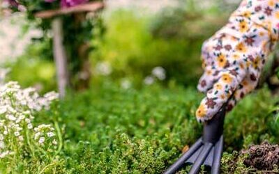 May Gardening Tips and To-Do List for Every Zone and Region