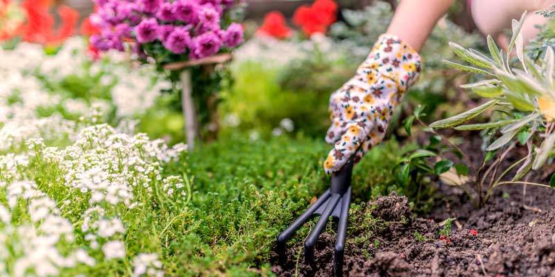 Gardening may. may in the garden