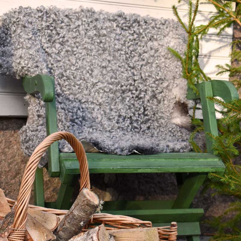 Julstämning i vinterträdgården