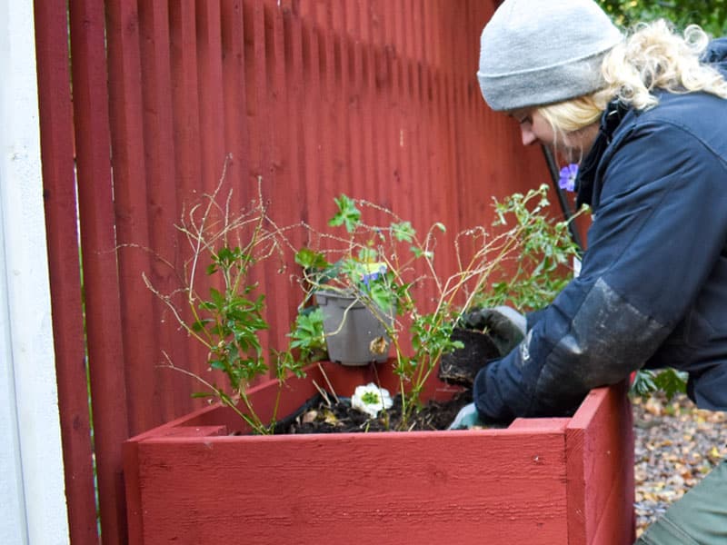 Bygg en enkel odlingslåda – DIY