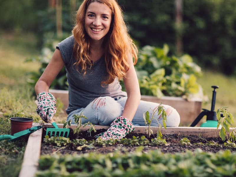 Organize your raised beds - plant care advice