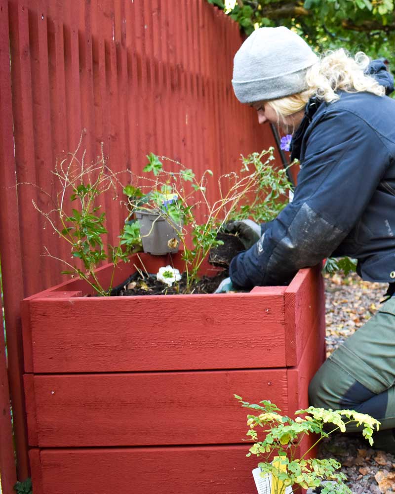 Bygg en enkel odlingslåda – DIY