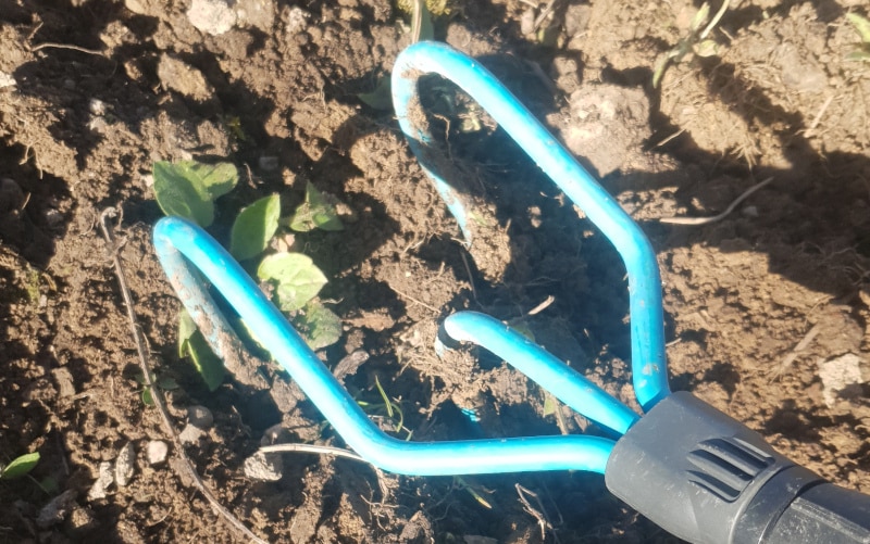 Erdbearbeitung mit Grubber Start in die Gartensaison - 5 Pflanzen die im März ins Freiland können