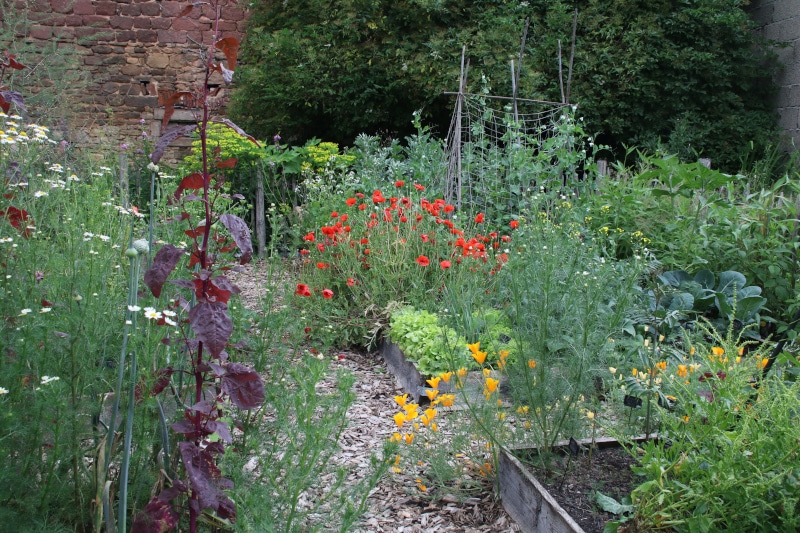 Blühender Gemüsegarten