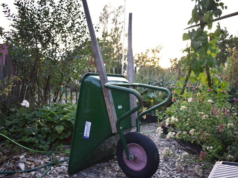 Anlägg grönsaksland på tre sätt - Gardenize