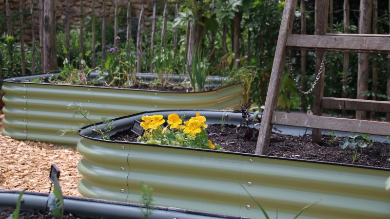 Vorteile vom Gemüseanbau in Hochbeeten - Gardenize