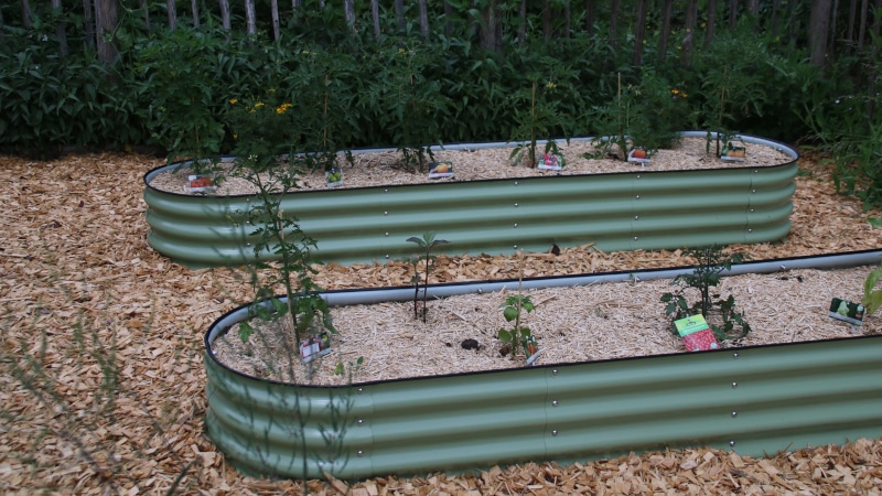 Vorteile vom Gemüseanbau in Hochbeeten - Gardenize